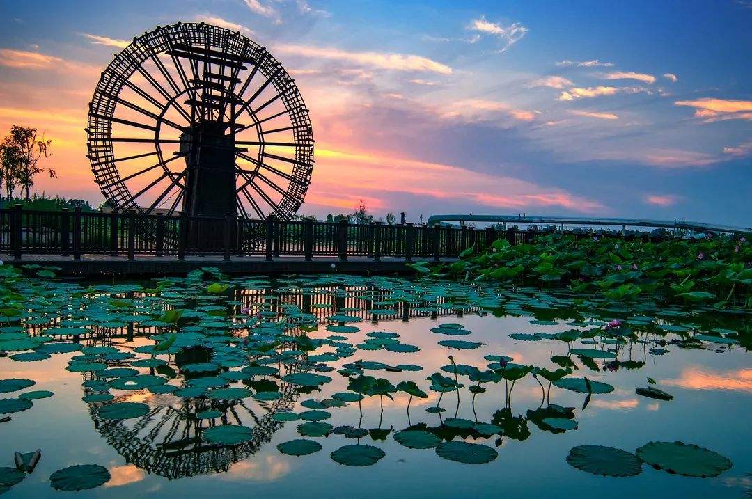 �¶�����ѵ����������չ����