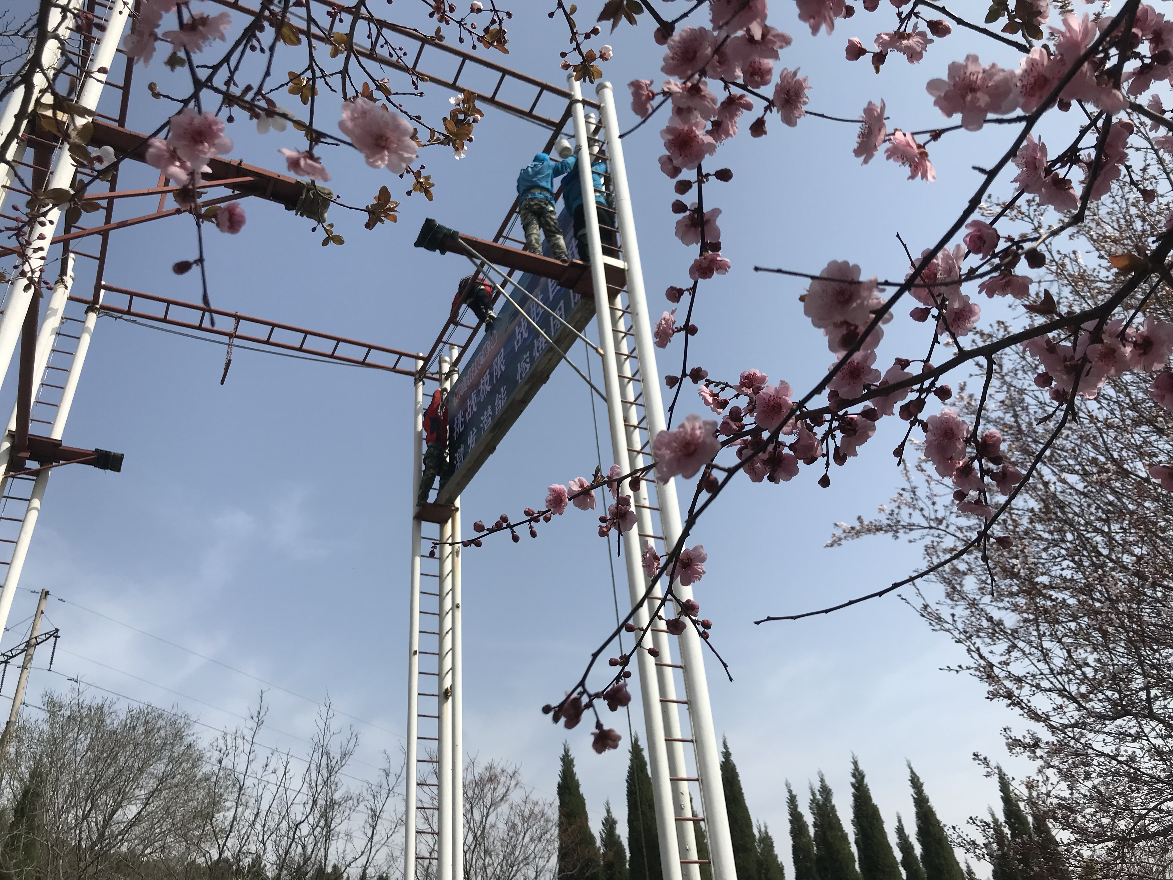 �����ڼ� �¶�����չ�Թ�˾������ؽ���ά������